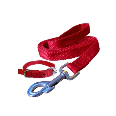 Fekrix Premium Red Nylon Lease With Collar 1 Inch
